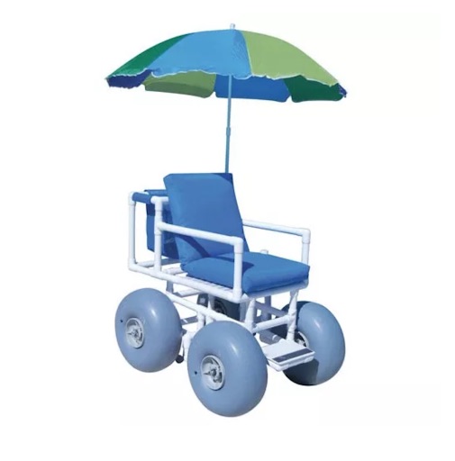 beach activities for disabled adults in wheelchairs